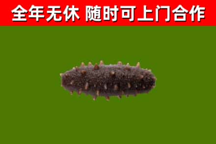 云林县烟酒回收干海参.jpg